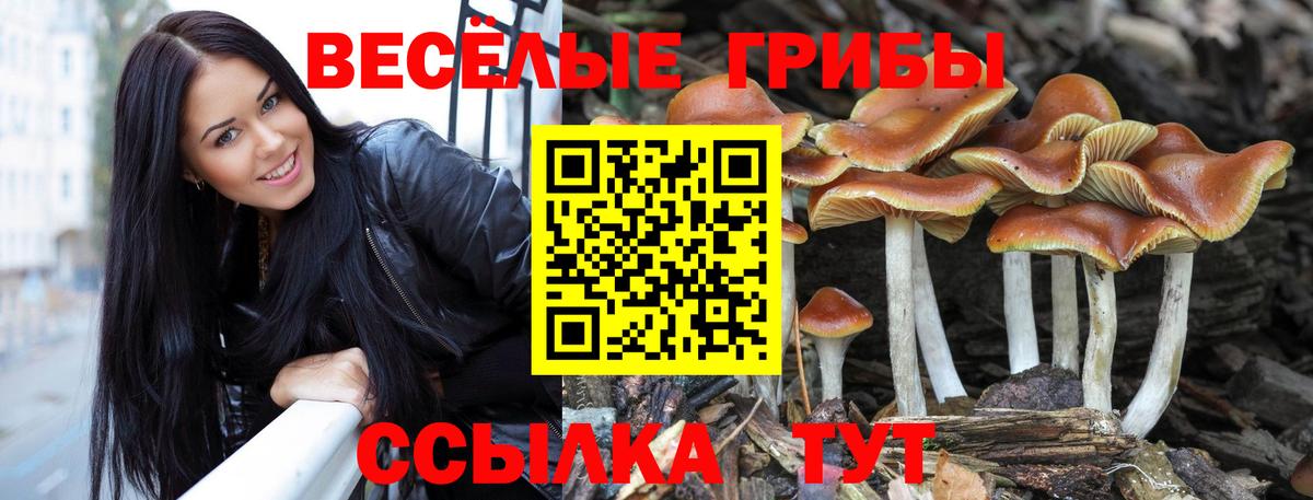 Галлюциногенные грибы Psilocybe  Галлюциногенные грибы Magic Shrooms  Вход с VPN  Братск 